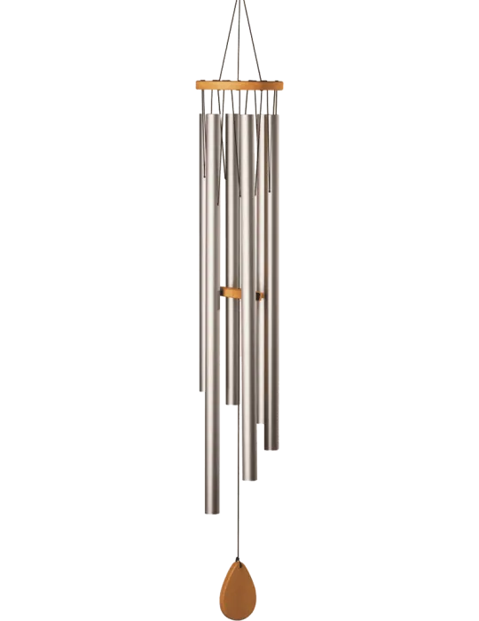  SCHLAGWERK CH940M Shiva Shakti|MusicGoodDeal 
