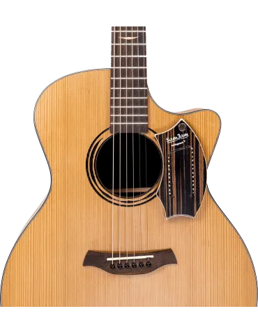  SCHLAGWERK SJ110M Macassar|MusicGoodDeal 