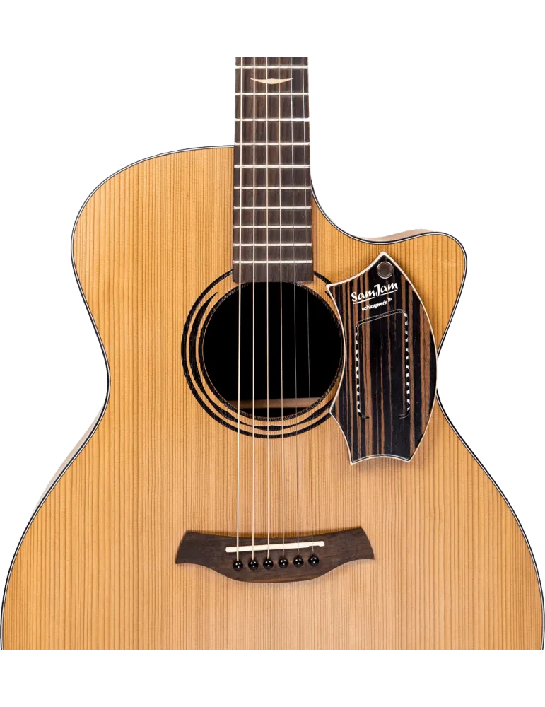  SCHLAGWERK SJ110M Macassar|MusicGoodDeal 