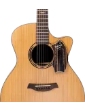  SCHLAGWERK SJ110M Macassar|MusicGoodDeal 