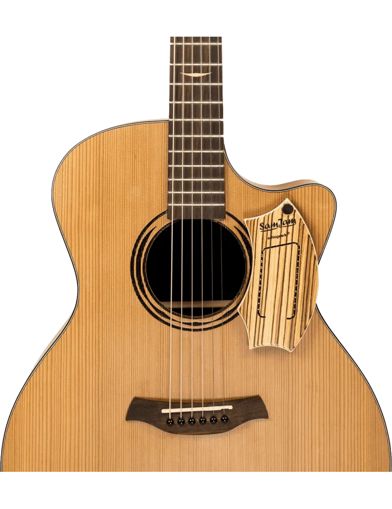  SCHLAGWERK SJ110Z Zebrano|MusicGoodDeal 
