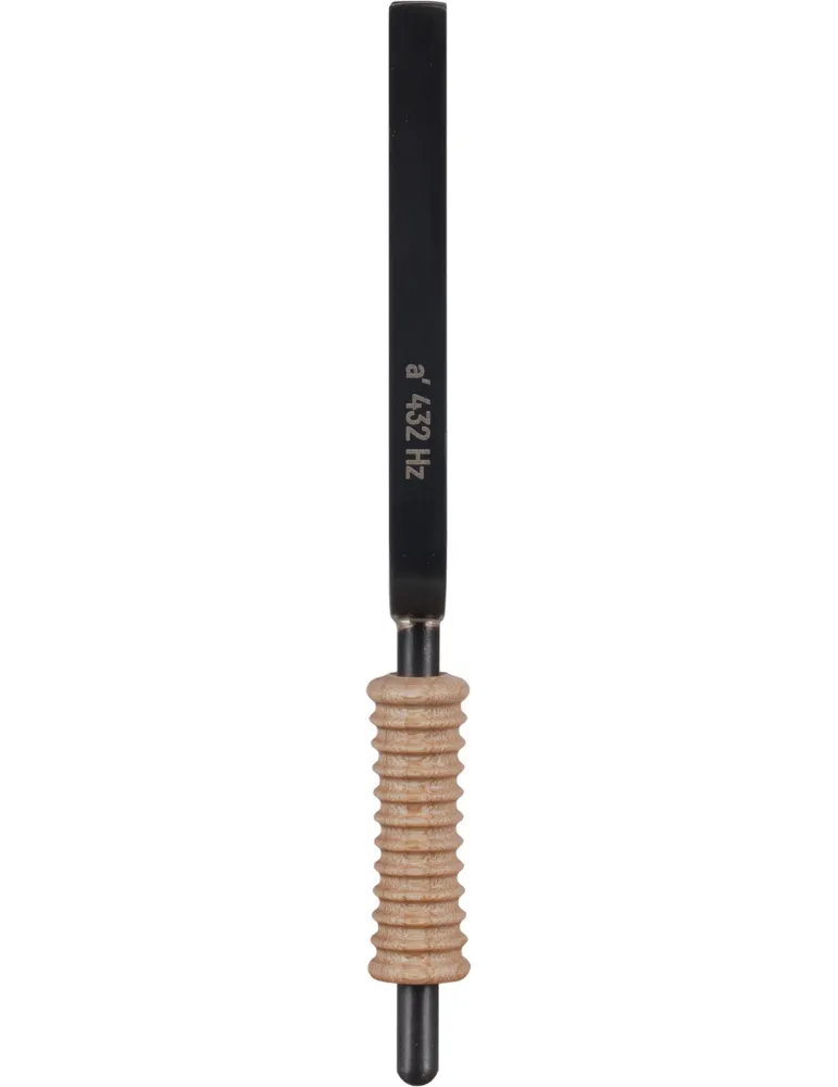 SCHLAGWERK STF-432 | MusicGoodDeal