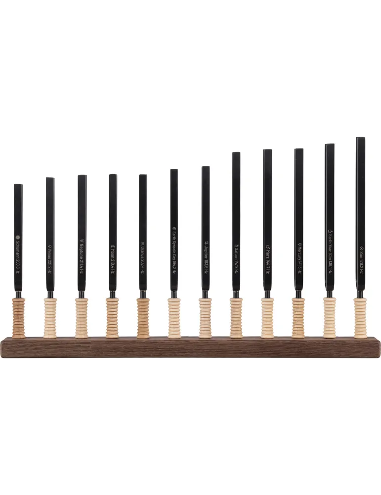 SCHLAGWERK STF-PL12 | MusicGoodDeal