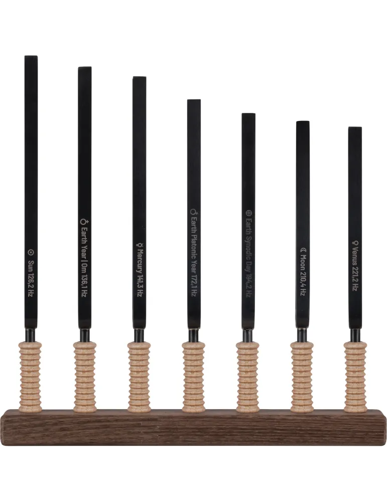 SCHLAGWERK STF-CH | MusicGoodDeal