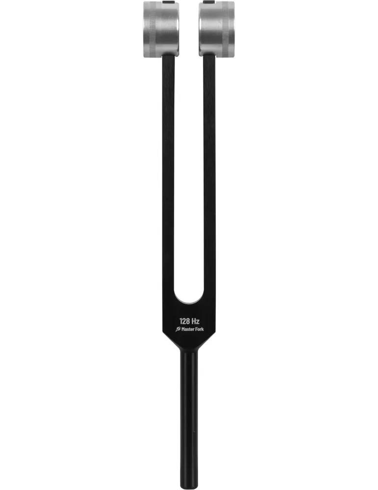 SCHLAGWERK PTF-128 | MusicGoodDeal