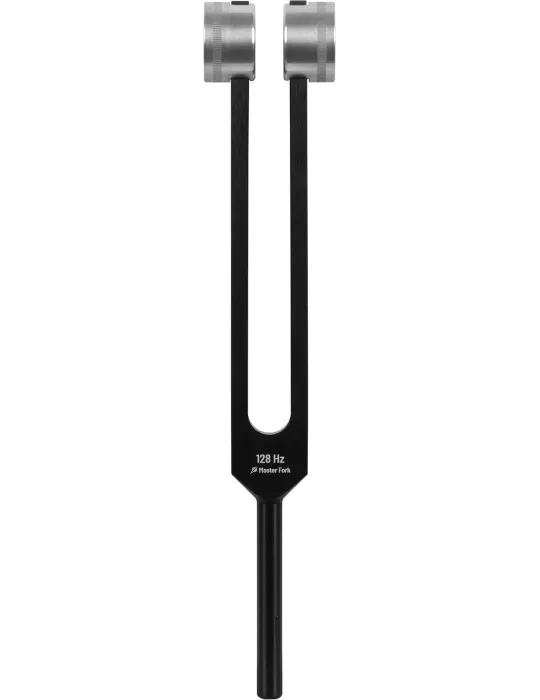 SCHLAGWERK PTF-128 | MusicGoodDeal