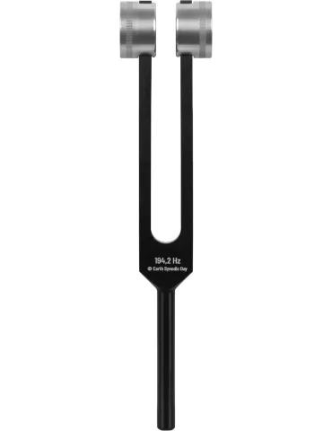 SCHLAGWERK PTF-DY | MusicGoodDeal