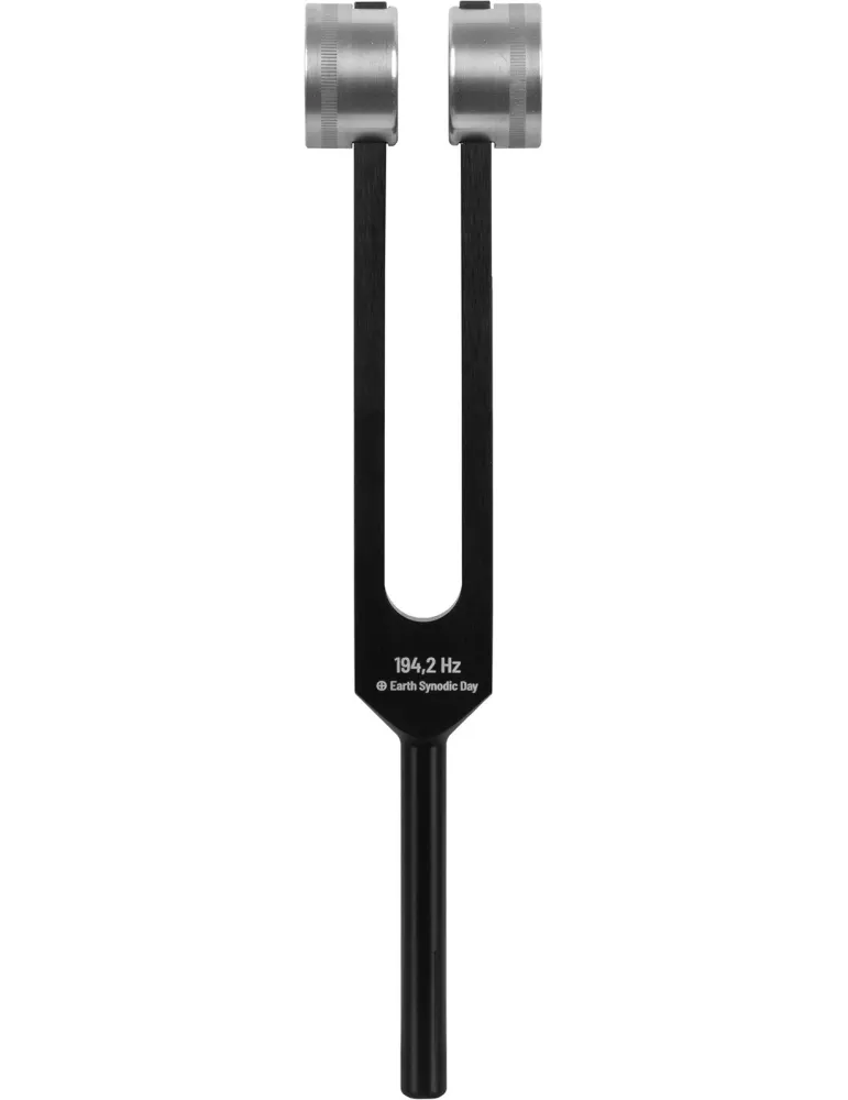 SCHLAGWERK PTF-DY | MusicGoodDeal