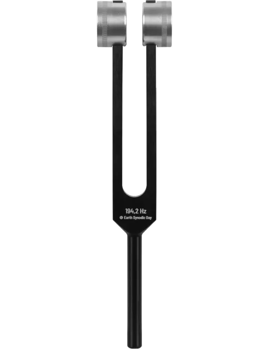 SCHLAGWERK PTF-DY | MusicGoodDeal