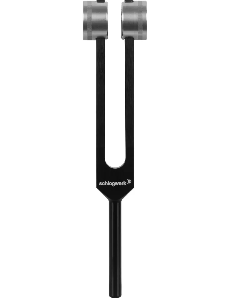 SCHLAGWERK PTF-DY | MusicGoodDeal