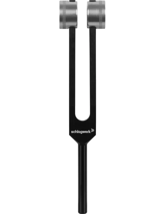 SCHLAGWERK PTF-DY | MusicGoodDeal
