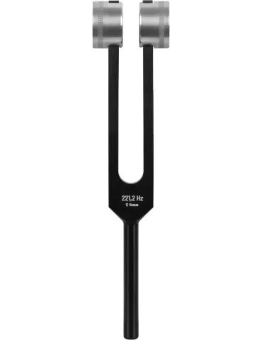SCHLAGWERK PTF-VE | MusicGoodDeal