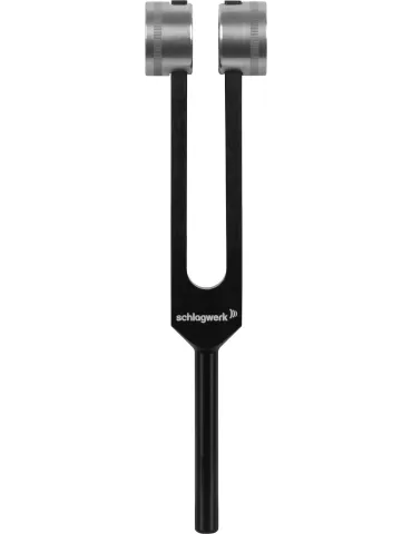 SCHLAGWERK PTF-VE | MusicGoodDeal 2