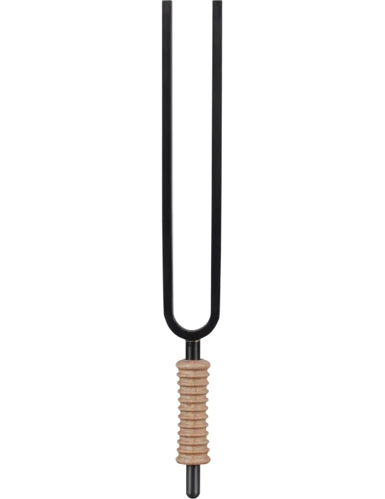 SCHLAGWERK STF-YR | MusicGoodDeal