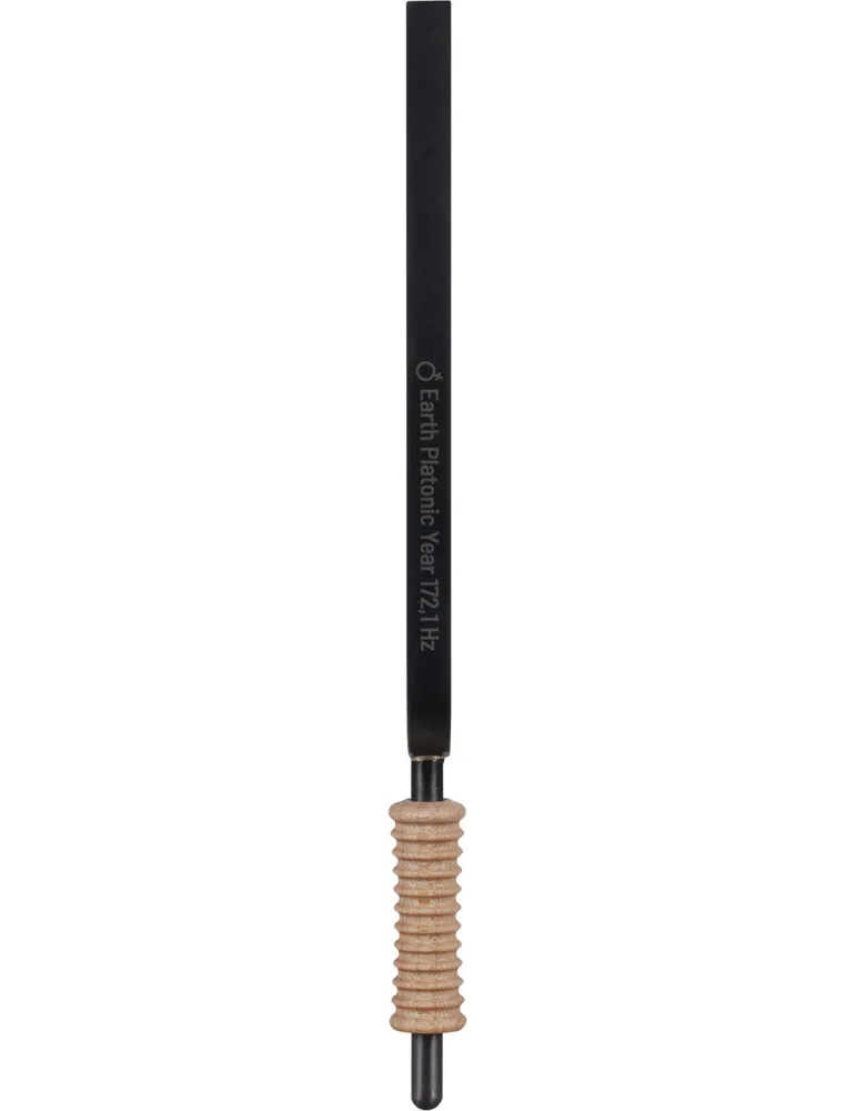 SCHLAGWERK STF-YR | MusicGoodDeal