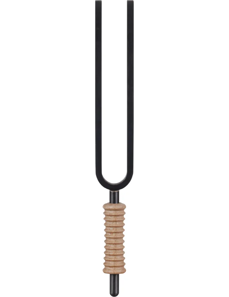 SCHLAGWERK STF-SC | MusicGoodDeal