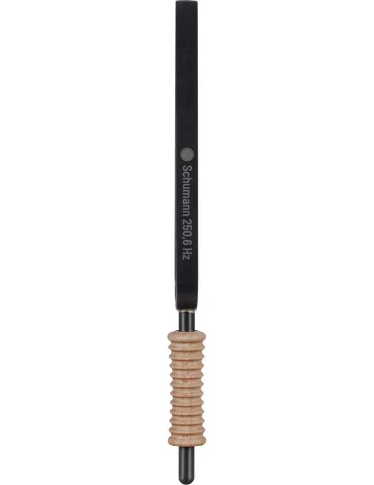SCHLAGWERK STF-SC | MusicGoodDeal