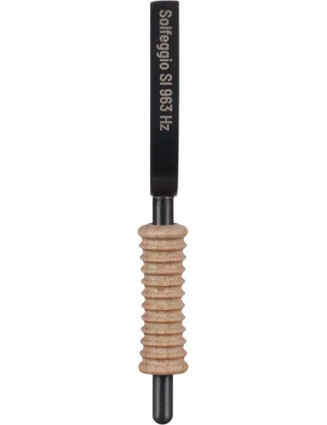 SCHLAGWERK STFS-SI | MusicGoodDeal 2