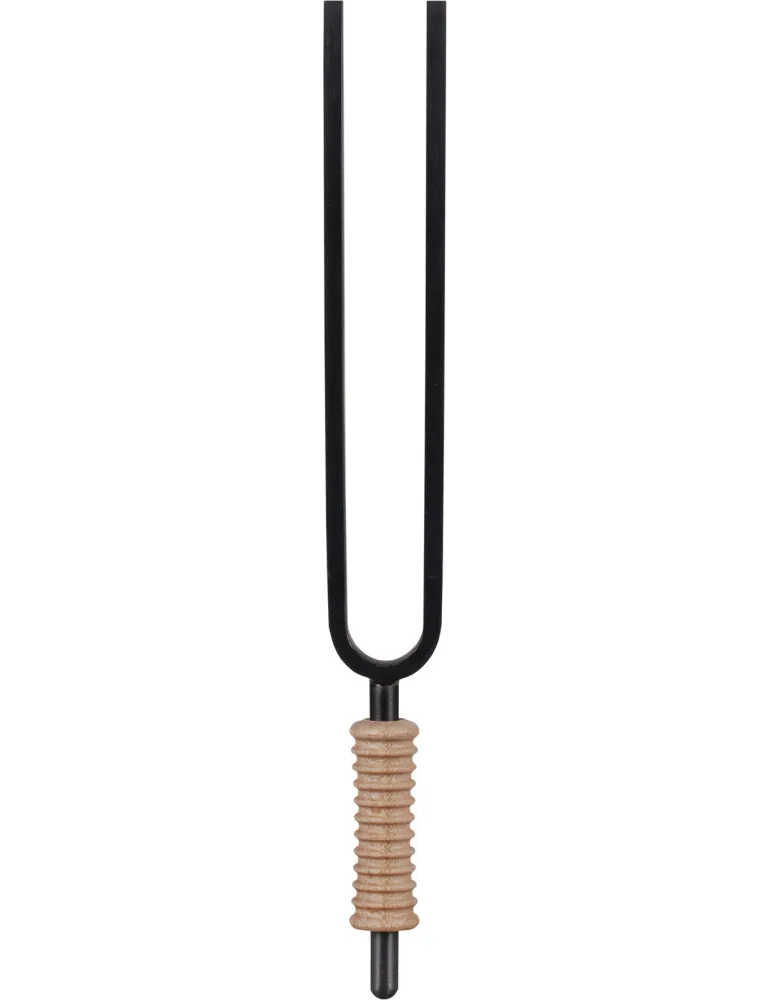 SCHLAGWERK STFS-174 | MusicGoodDeal