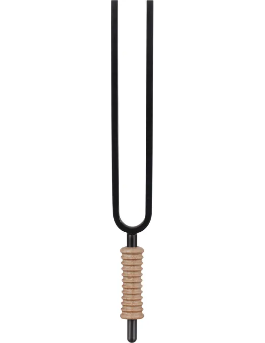 SCHLAGWERK STFS-174 | MusicGoodDeal