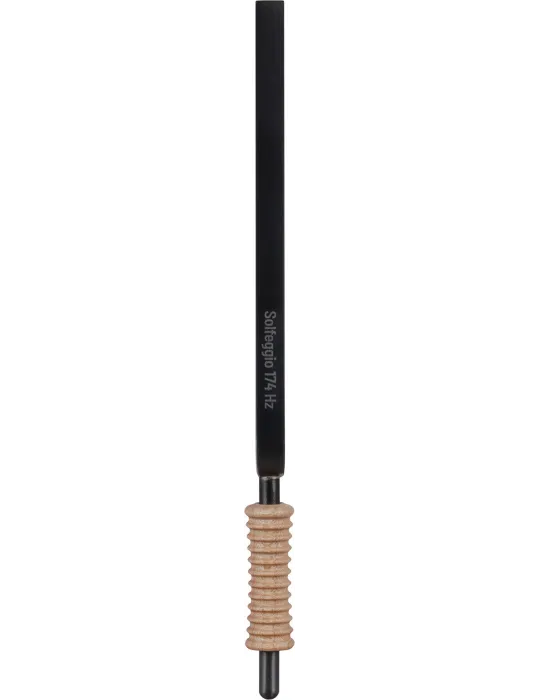 SCHLAGWERK STFS-174 | MusicGoodDeal