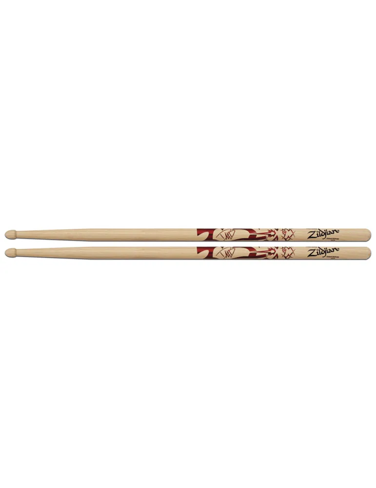  ZILDJIAN ASDG Dave Grohl|MusicGoodDeal 