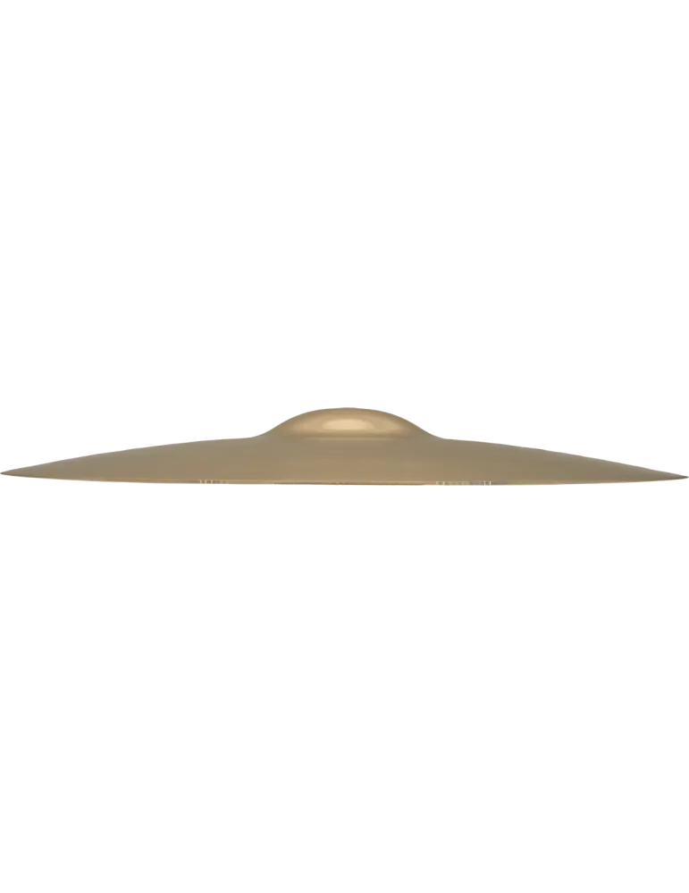 ZILDJIAN Z40113 | MusicGoodDeal