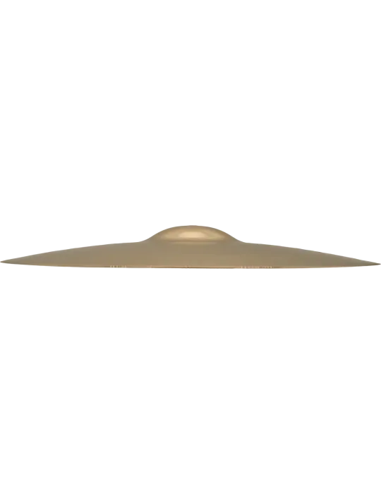 ZILDJIAN Z40113 | MusicGoodDeal