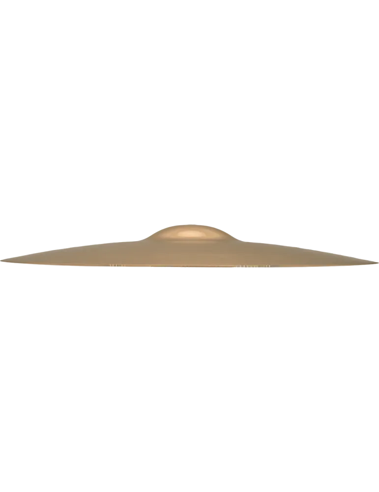 ZILDJIAN Z40116 | MusicGoodDeal