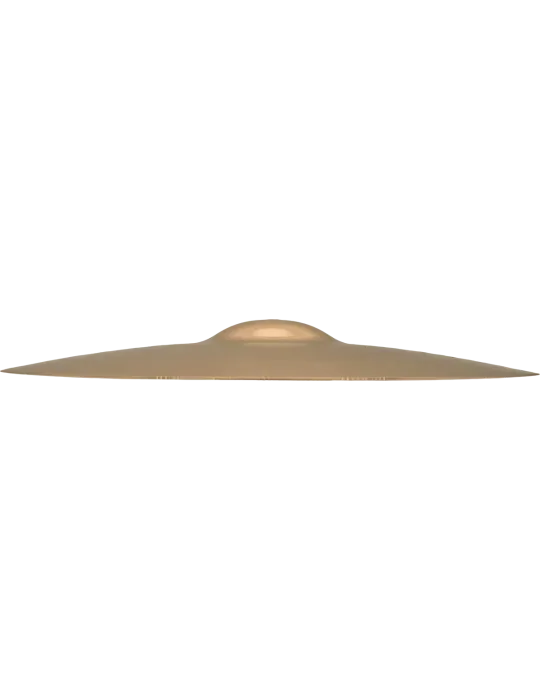 ZILDJIAN Z40116 | MusicGoodDeal