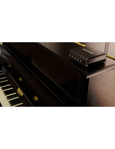 PLEYEL PAMS-EU | MusicGoodDeal