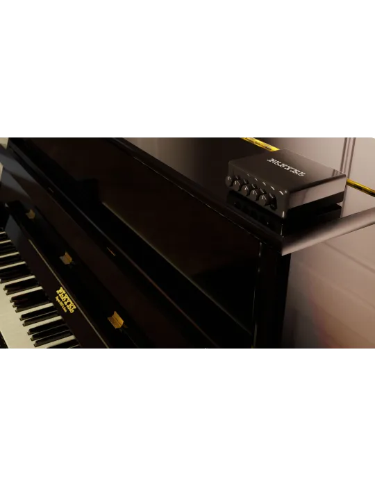 PLEYEL PAMS-EU | MusicGoodDeal