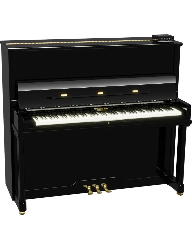 PLEYEL PAMS-EU | MusicGoodDeal