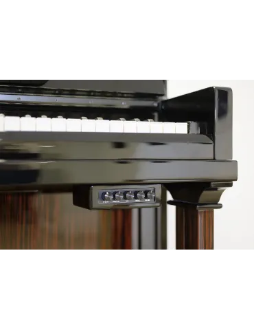 PLEYEL PAMS-INSTALL-EU | MusicGoodDeal