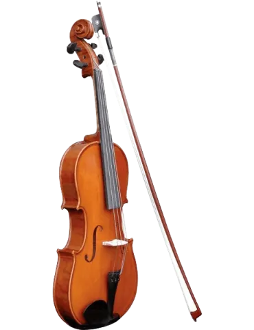  HERALD AS244 Any massif|MusicGoodDeal 