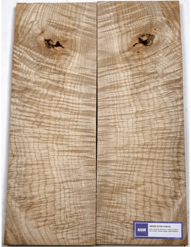 LUTHERIE ELTOP-CFM-02 | MusicGoodDeal