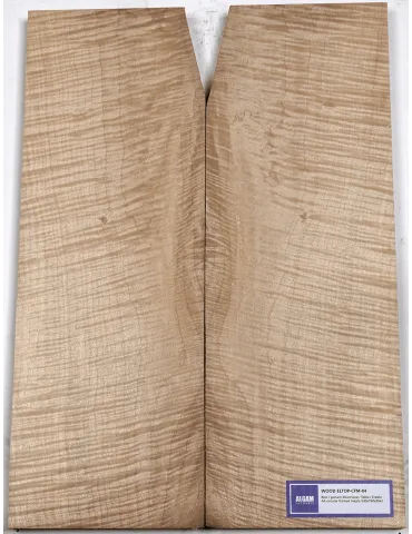 LUTHERIE ELTOP-CFM-03 | MusicGoodDeal