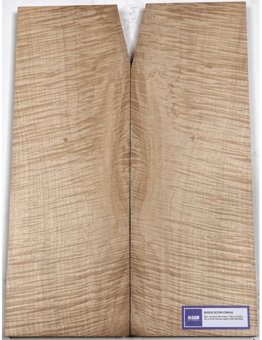 LUTHERIE ELTOP-CFM-03 | MusicGoodDeal
