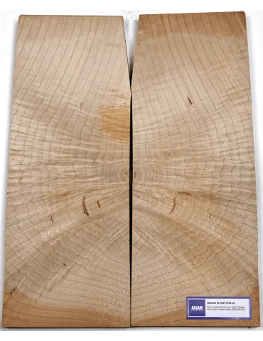 LUTHERIE ELTOP-CFM-04 | MusicGoodDeal