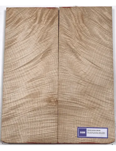 LUTHERIE ELTOP-CFM-06 | MusicGoodDeal