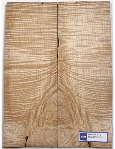 LUTHERIE ELTOP-CFM-09 | MusicGoodDeal