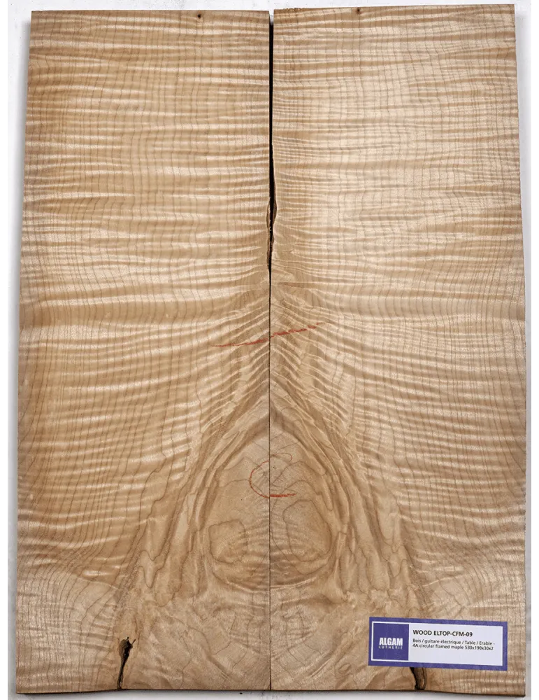 LUTHERIE ELTOP-CFM-09 | MusicGoodDeal