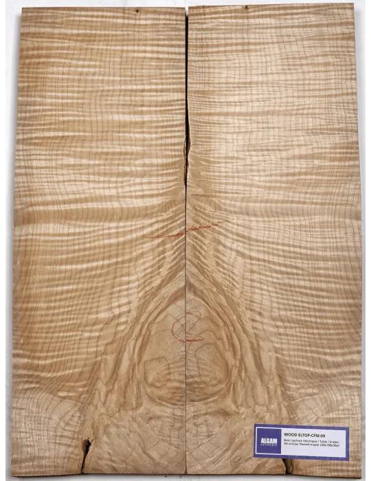 LUTHERIE ELTOP-CFM-09 | MusicGoodDeal