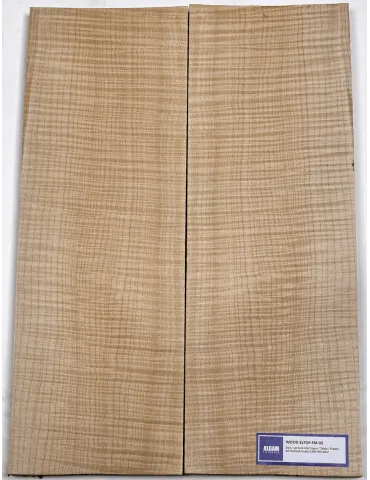 LUTHERIE ELTOP-FM-05 | MusicGoodDeal