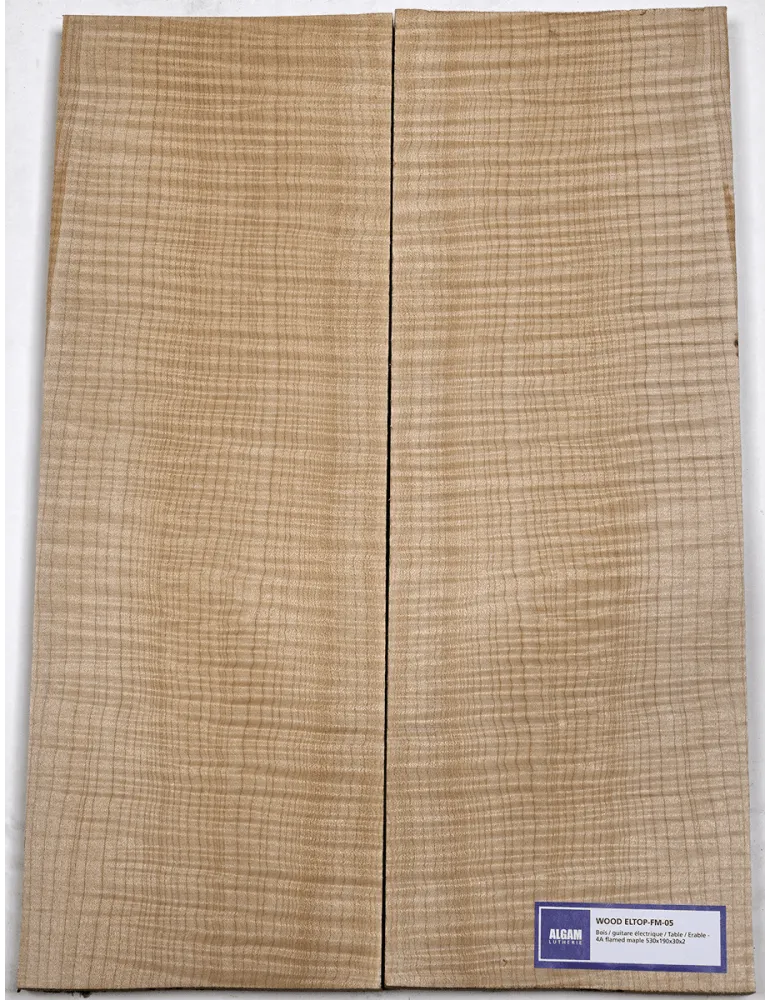 LUTHERIE ELTOP-FM-05 | MusicGoodDeal