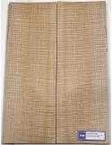 LUTHERIE ELTOP-FM-05 | MusicGoodDeal