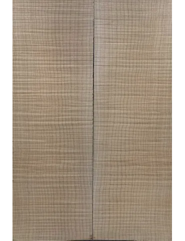 LUTHERIE ELTOP-FM-13 | MusicGoodDeal