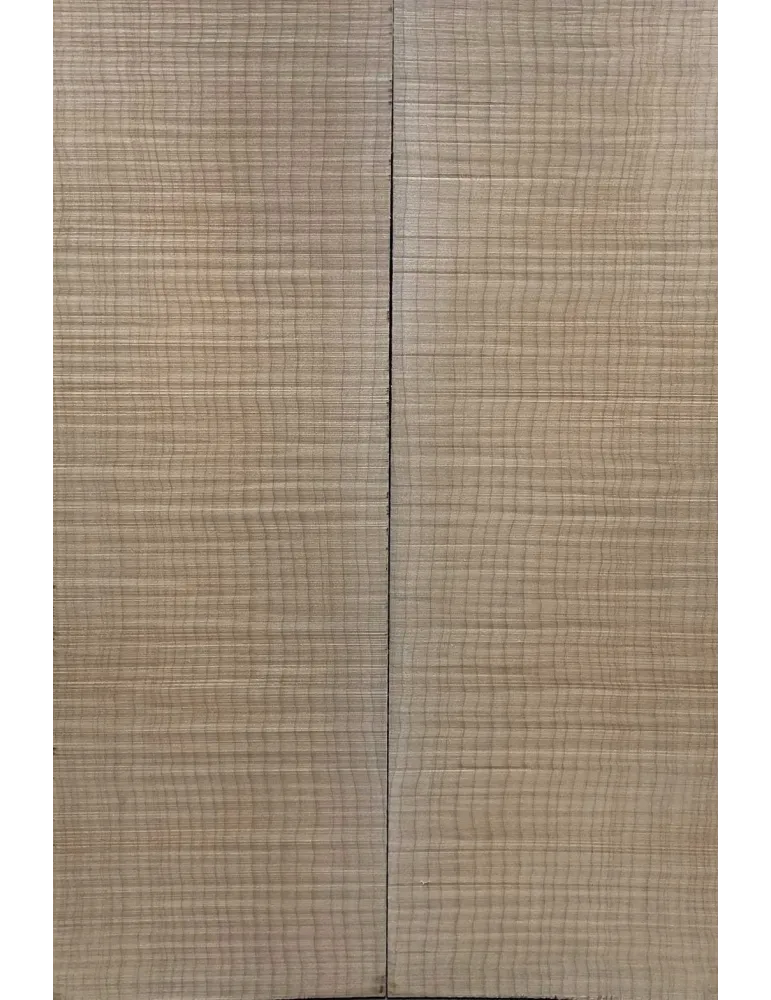 LUTHERIE ELTOP-FM-13 | MusicGoodDeal