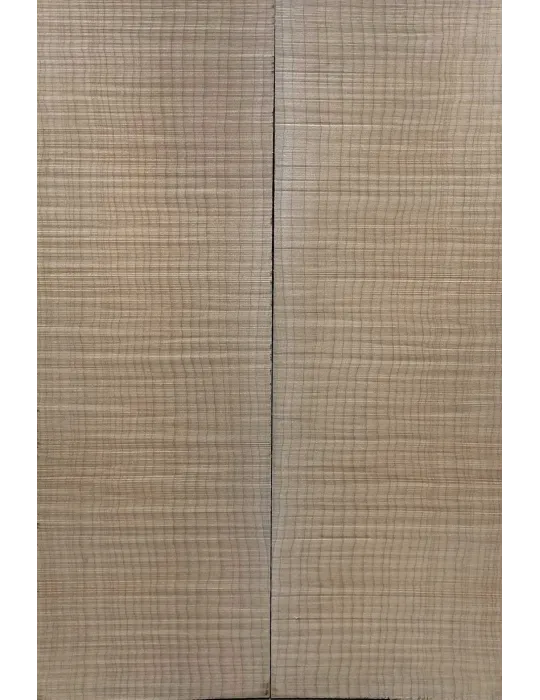 LUTHERIE ELTOP-FM-13 | MusicGoodDeal