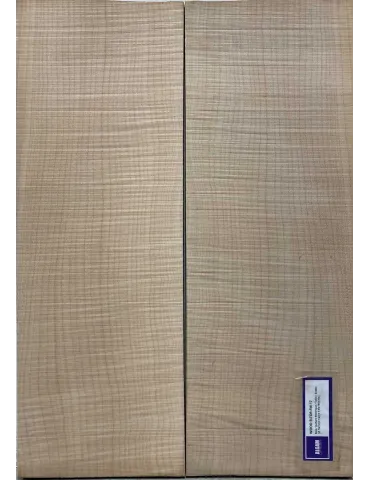 LUTHERIE ELTOP-FM-17 | MusicGoodDeal